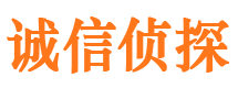 安康市私家侦探